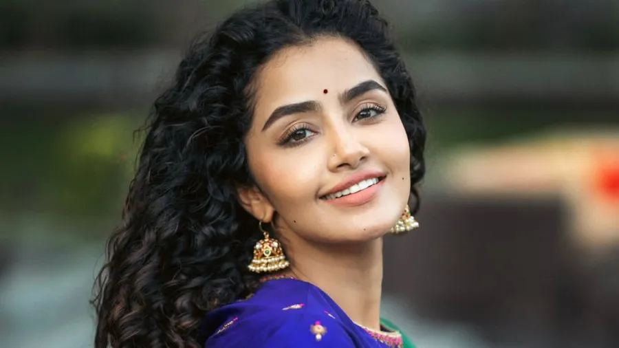 ಮದುವೆ ಆಗೋದು ಮನೆ ಕೆಲ್ಸ ಮಾಡೋಕಾ? ಮದುವೆಗೂ ಮುನ್ನ ನನಗೆ ಮಗು ಬೇಕು; ಅನುಪಮಾ